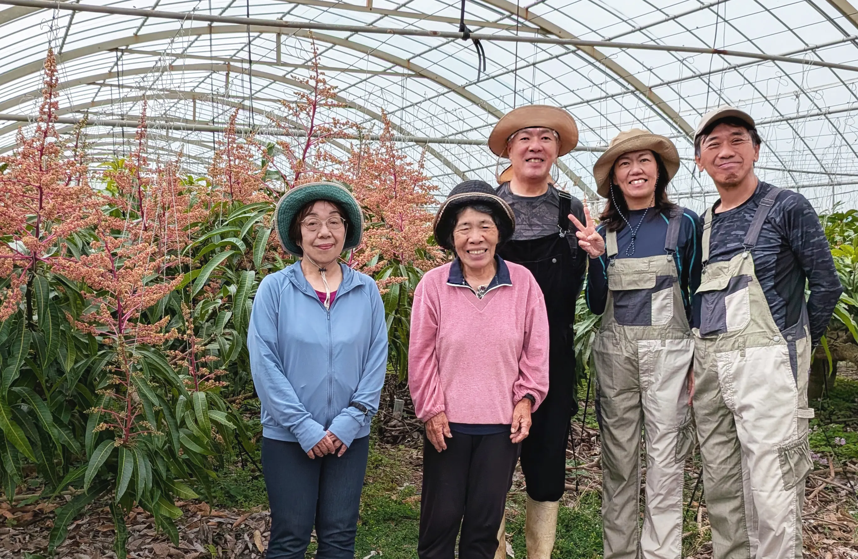 宮古島空水土フルーツファームで完熟した真っ赤なアップルマンゴーの花